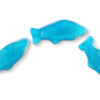 ho1017 Blue Raspberry Gummi Dolphins (2.200 Lbs) 2