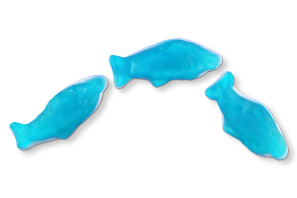 ho1017 Blue Raspberry Gummi Dolphins (2.200 Lbs) 1